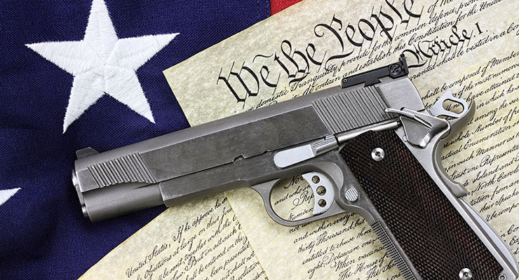 Gun Control - Michelle Friore