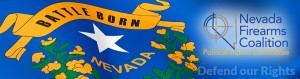 NVFACPAC