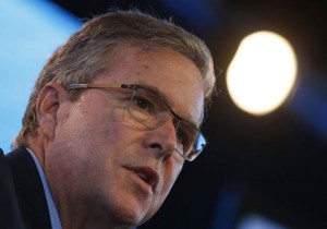 jed bush